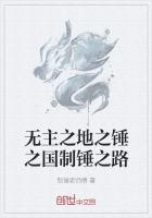 无主之地2锤子克星