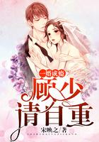 都市言情免费阅读顾少一宠成瘾