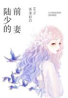 陆少的的女主角叫什么名