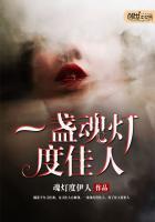 一盏魂灯渡佳人的情侣名