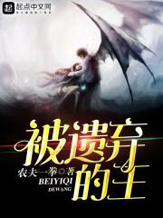 海贼之暴炸艺术