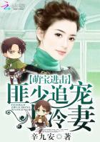 萌宝进击匪少追宠小冷妻