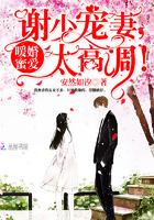 暖婚蜜爱顾少的心尖宠