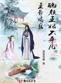 王爷娇宠丑颜王妃不平凡