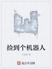 捡到个机器人的电影