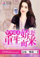 司少宠妻请低调免费阅读