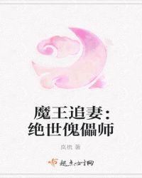 魔王追妻攻掠完结全集