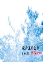 深山里的巨树图片