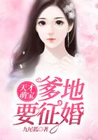 爹地要征婚全文免费阅读