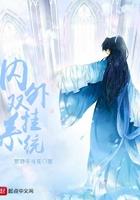 内外双挂系统的优缺点