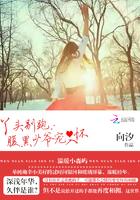 腹黑总裁丫头别想逃