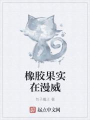 橡胶果实能力者是谁