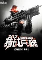 抗战之特战兵壬