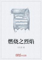 燃烧之烈焰24火强