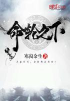 命运之轮是多少集