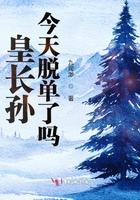 皇长孙和皇太孙