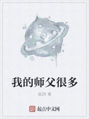 我的师父很多评价
