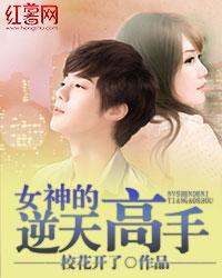 女神的逆天高手免费阅读