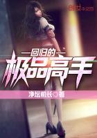 回归的极品高手百度百科