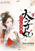 重生后我成了太子妃沈随