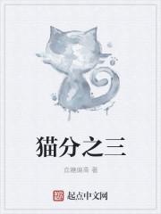 猫还分多少兆吗