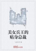 美女总裁的贴身兵王境界划分