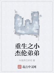 重生之小杰伦弟弟