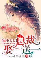 偷个宝宝:总裁娶一送一