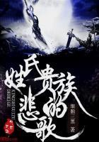 姓氏贵族的悲歌