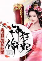 神偷狂妃:捡个萌娃当相公