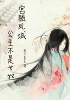 宫锁凤城:公主不是女奴