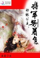 邪魅公主:将军别着急