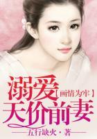 画情为牢,溺爱天价前妻