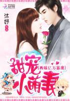 甜宠小萌妻:再嫁亿万首席