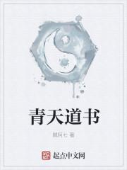 青天道书