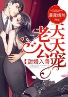 甜婚入骨,老公天天宠