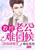 染指成婚,教授老公难伺候