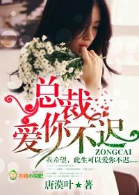 总裁,爱你不迟