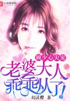 顾少心尖宠:老婆大人,乖乖从了