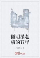 做明星老板的五年