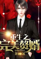 重生之完美赘婿