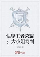 快穿王者荣耀:大小姐驾到
