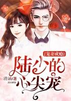 宠妻成瘾:陆少的心尖宠