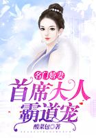 名门娇妻:首席大人霸道宠