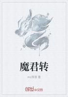 魔君转