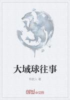 大域球往事