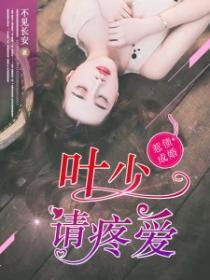 惹债成婚:叶少请疼爱