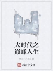 大时代之巅峰人生