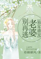 独家盛宠：老婆别再逃