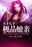 天才儿子极品娘亲